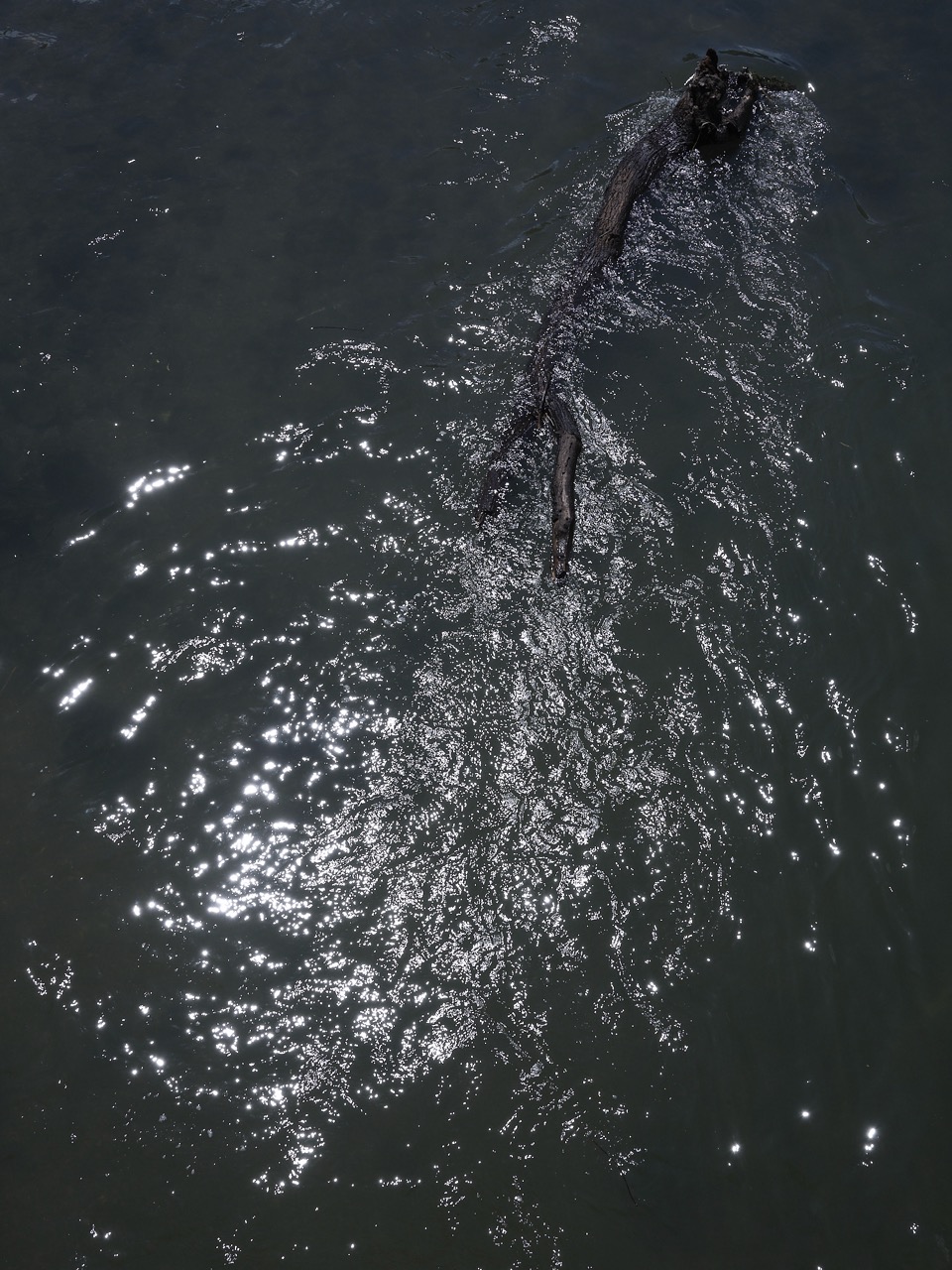 eine junge bestandsaufnahme