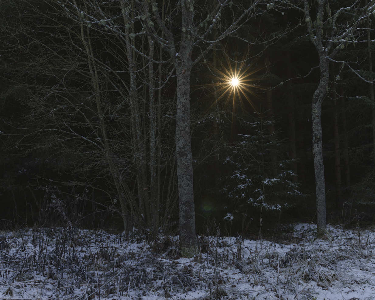 Peter_Rieser-ob_da_ich-8