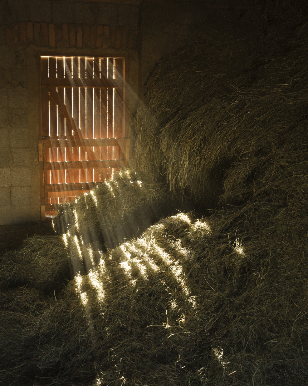 Peter_Rieser-ob_da_ich-3