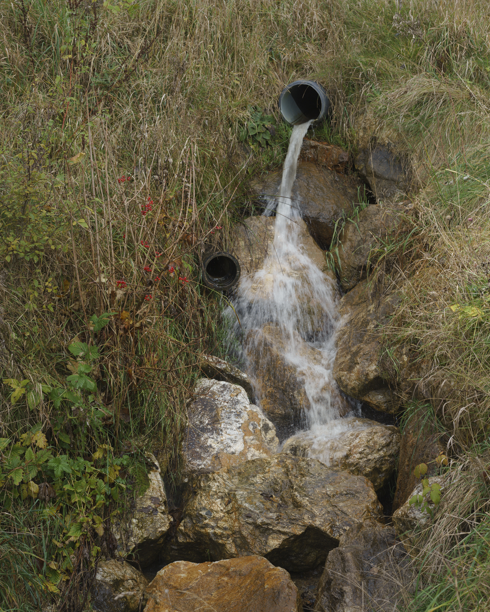 Peter_Rieser-ob_da_ich-5